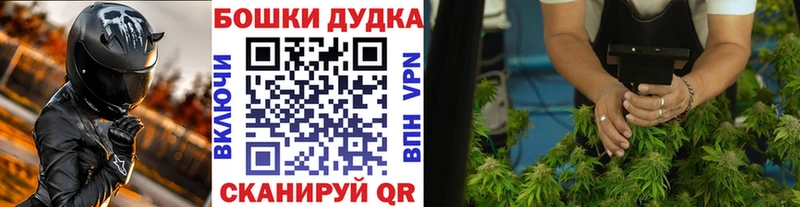 сколько стоит  Десногорск  Бошки Шишки марихуана 